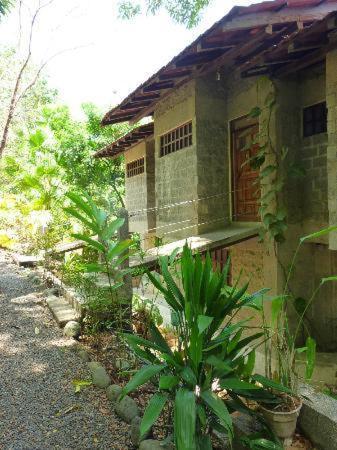 Hôtel Luz De Mono à Montezuma Extérieur photo