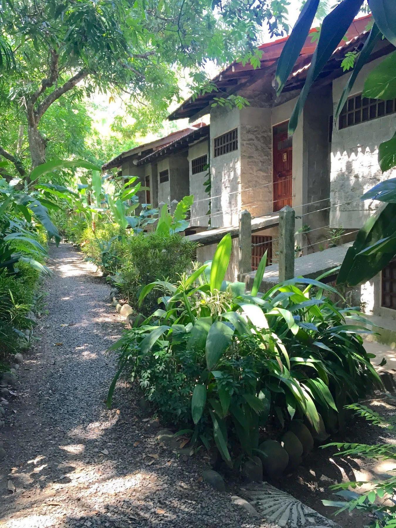 Hôtel Luz De Mono à Montezuma Extérieur photo